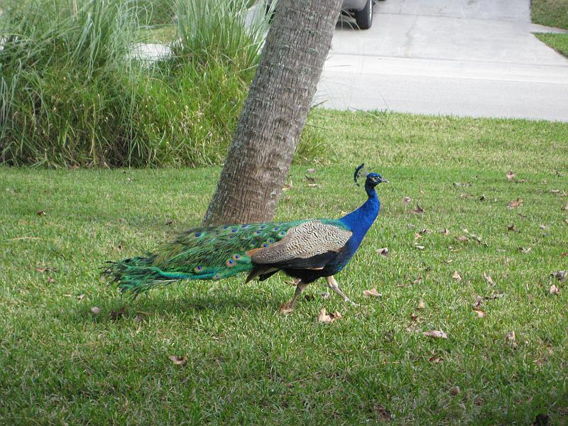 Picture 002
